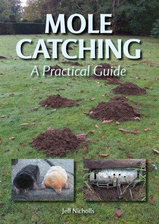 Jeff Nicholls: Mole Catching