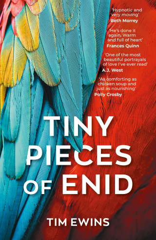 Tim Ewins: Tiny Pieces of Enid