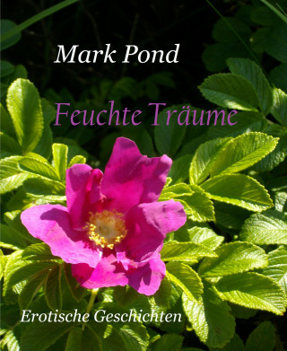 Mark Pond: Feuchte Träume