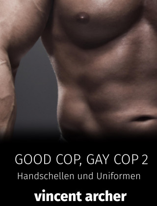 Vincent Archer: Good Cop, Gay Cop 2