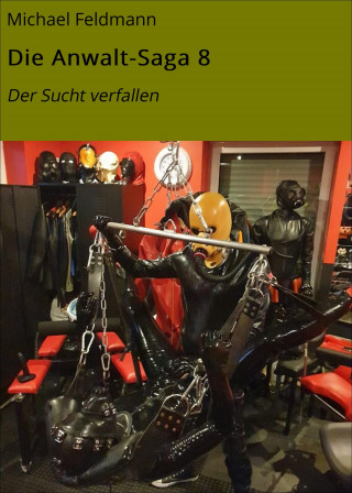 Michael Feldmann: Die Anwalt-Saga 8
