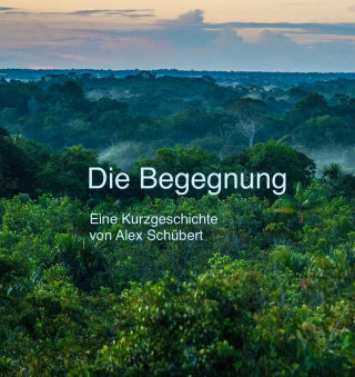 Alex Schuebert: Die Begegnung