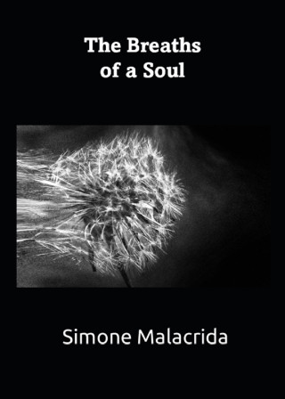 Simone Malacrida: The Breaths of a Soul