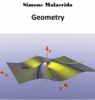 Simone Malacrida: Geometry