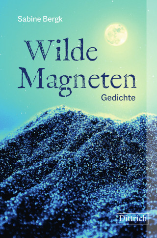 Sabine Bergk: Wilde Magneten