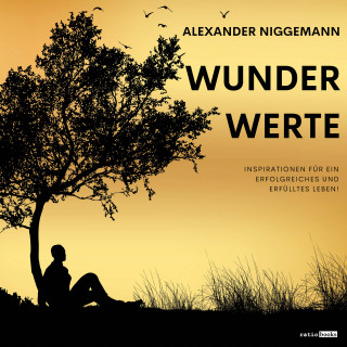 Alexander Niggemann: WunderWerte