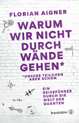 Florian Aigner: Warum wir nicht durch Wände gehen*