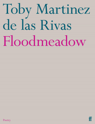 Toby Martinez de las Rivas: Floodmeadow