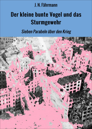 J. N. Fährmann: Der kleine bunte Vogel und das Sturmgewehr