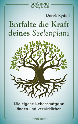Derek Rydall: Entfalte die Kraft deines Seelenplans