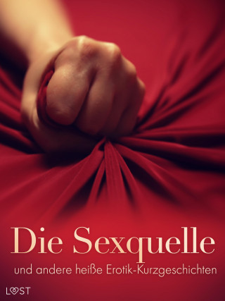 LUST authors: Die Sexquelle und andere heiße Erotik-Kurzgeschichten