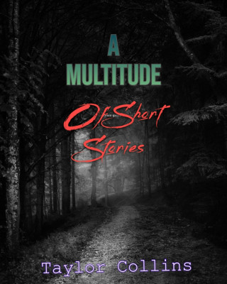Taylor Collins: A Multitude of Short Stories