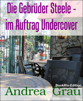 Andrea Grau: Die Gebrüder Steele - im Auftrag Undercover