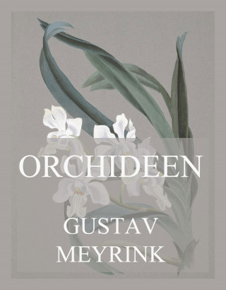Gustav Meyrink: Orchideen
