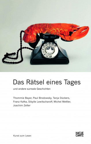 Thommie Bayer, Paul Brodowsky, Tanja Dückers, Franz Kafka, Sibylle Lewitscharoff, Michel Mettler, Joachim Zelter: Das Rätsel eines Tages und andere surreale Geschichten