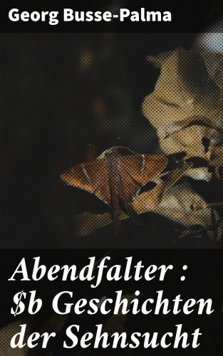 Georg Busse-Palma: Abendfalter : Geschichten der Sehnsucht