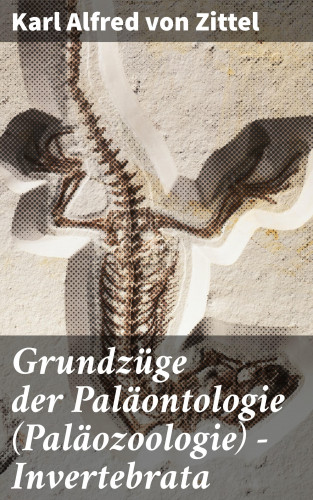 Karl Alfred von Zittel: Grundzüge der Paläontologie (Paläozoologie) - Invertebrata