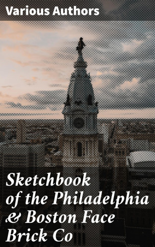 Diverse: Sketchbook of the Philadelphia & Boston Face Brick Co
