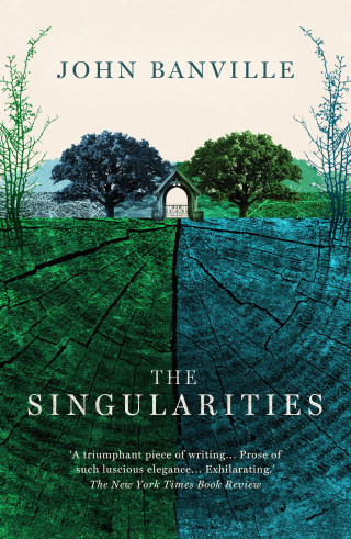 John Banville: The Singularities