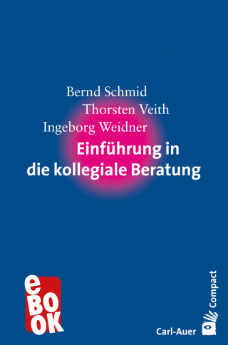 Bernd Schmid, Thorsten Veith, Ingeborg Weidner: Einführung in die kollegiale Beratung