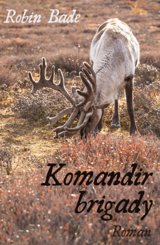 Robin Bade: Komandir brigady