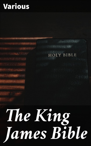 Diverse: The King James Bible