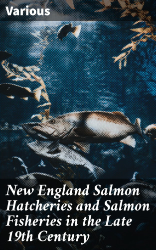 Diverse: New England Salmon Hatcheries and Salmon Fisheries in the Late 19th Century
