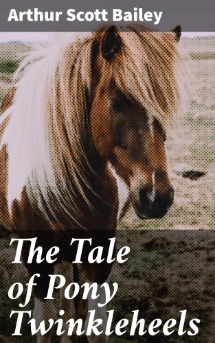 Arthur Scott Bailey: The Tale of Pony Twinkleheels