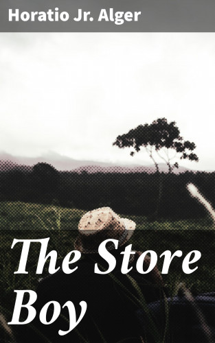 Jr. Horatio Alger: The Store Boy