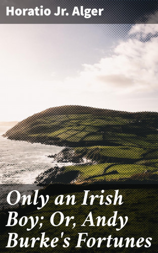 Jr. Horatio Alger: Only an Irish Boy; Or, Andy Burke's Fortunes