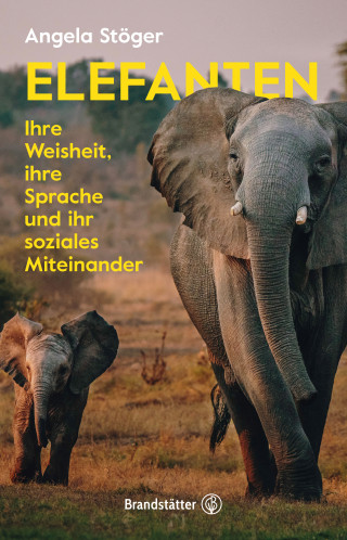 Angela Stöger: Elefanten