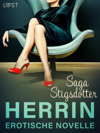 Saga Stigsdotter: Herrin - Erotische Novelle