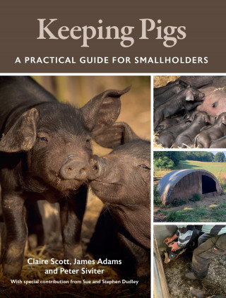 Claire Scott, James Adams, Peter Siviter: Keeping Pigs