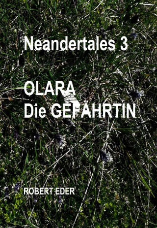 Robert Eder: Neandertales 3