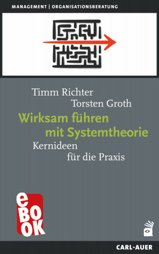 Timm Richter, Torsten Groth: Wirksam führen mit Systemtheorie