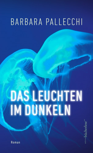 Barbara Pallecchi: Das Leuchten im Dunkeln