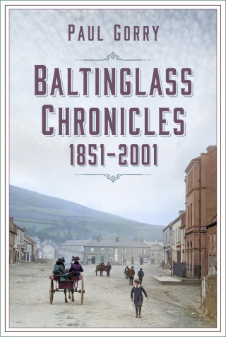 Paul Gorry: Baltinglass Chronicles