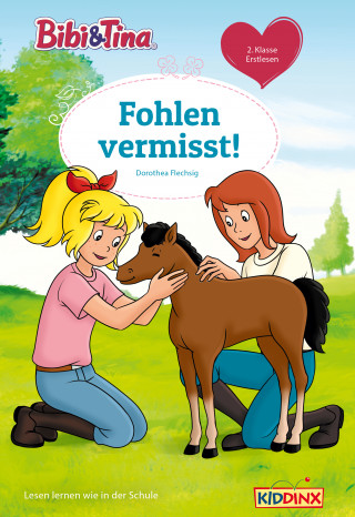 Dorothea Flechsig: Bibi & Tina: Fohlen vermisst!