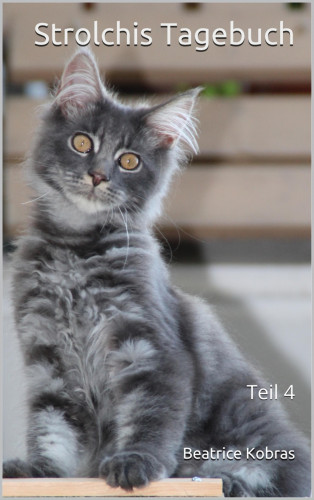 Beatrice Kobras: Strolchis Tagebuch - Teil 4