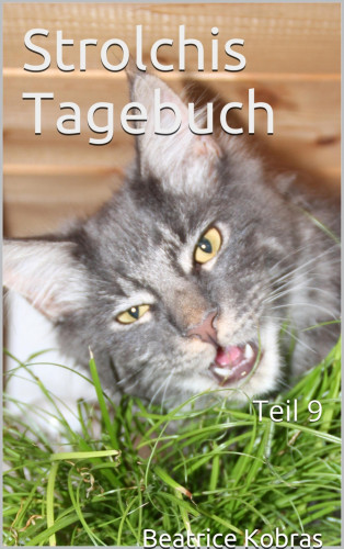 Beatrice Kobras: Strolchis Tagebuch - Teil 9