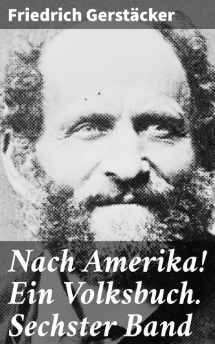 Friedrich Gerstäcker: Nach Amerika! Ein Volksbuch. Sechster Band