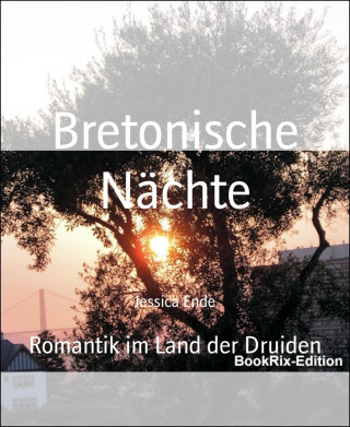 Jessica Ende: Bretonische Nächte