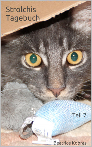 Beatrice Kobras: Strolchis Tagebuch - Teil 7