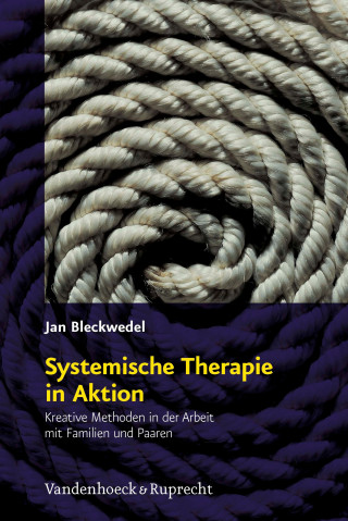 Jan Bleckwedel: Systemische Therapie in Aktion