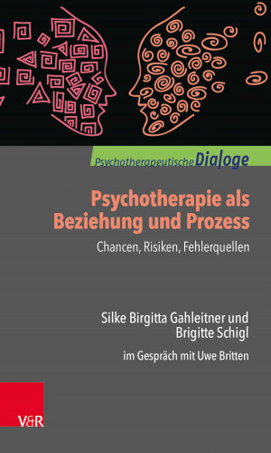 Silke Birgitta Gahleitner, Brigitte Schigl: Psychotherapie als Beziehung und Prozess: Chancen, Risiken, Fehlerquellen