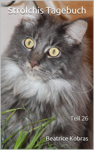 Beatrice Kobras: Strolchis Tagebuch - Teil 26