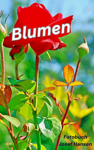 Josef Hansen: Blumen