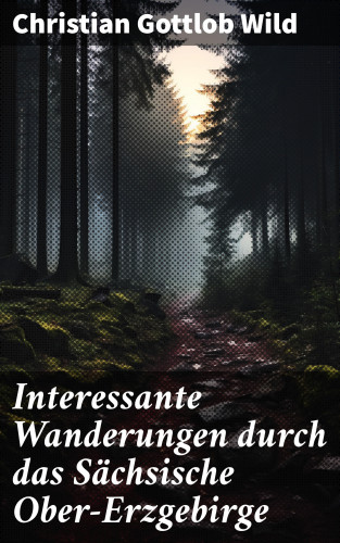 Christian Gottlob Wild: Interessante Wanderungen durch das Sächsische Ober-Erzgebirge