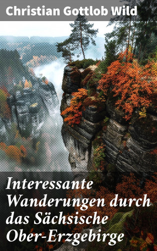 Christian Gottlob Wild: Interessante Wanderungen durch das Sächsische Ober-Erzgebirge