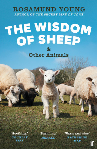 Rosamund Young: The Wisdom of Sheep & Other Animals